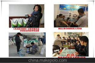 环保技术转让供应商与批发市场 绿色技术商业化的新机遇